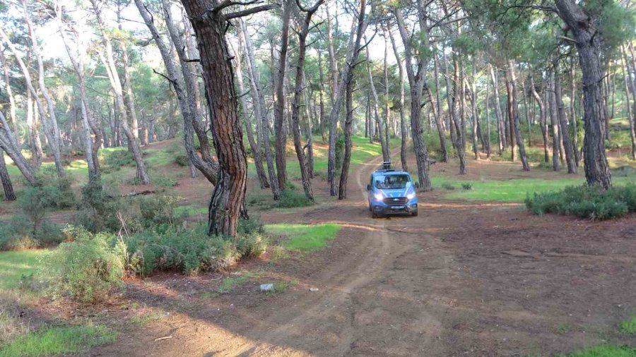 Jandarmadan Ormanlık Alanlarda Kangal Ve Ateş Nöbeti