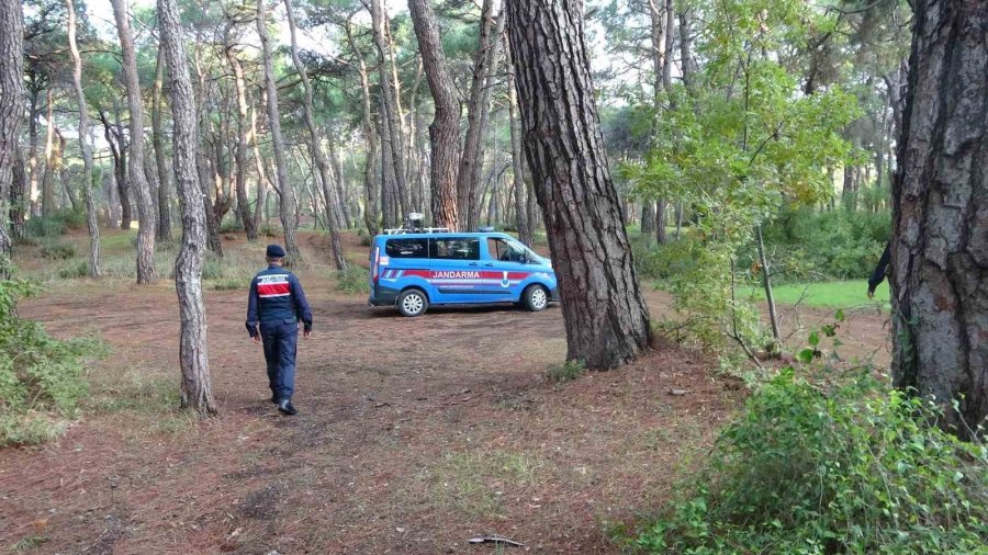 Jandarmadan Ormanlık Alanlarda Kangal Ve Ateş Nöbeti