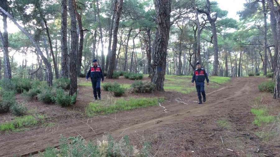 Jandarmadan Ormanlık Alanlarda Kangal Ve Ateş Nöbeti