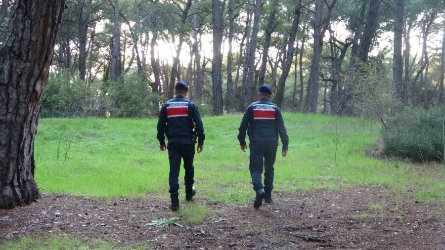 Jandarmadan Ormanlık Alanlarda Kangal Ve Ateş Nöbeti