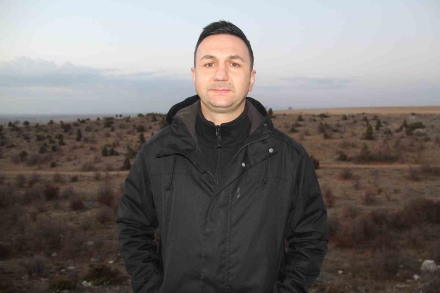 Fotokapanla Yaban Domuzunun Çamur Banyosu Ve Kurdun Av Peşindeki Anı Kaydedildi