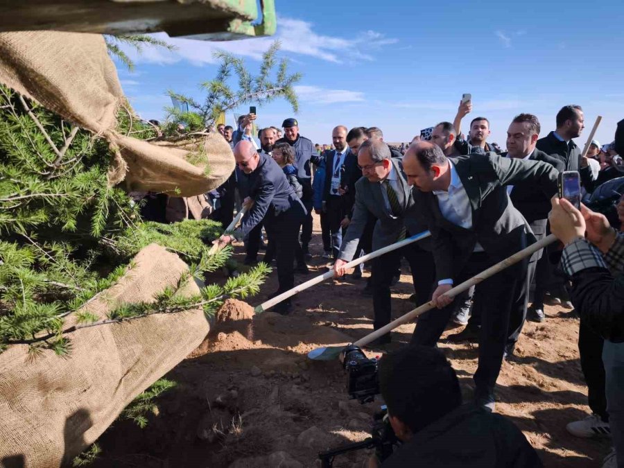 Başkan Altay "geleceğe Nefes Konya’ya Hayat" Programında Öğrencilerle Fidan Dikti
