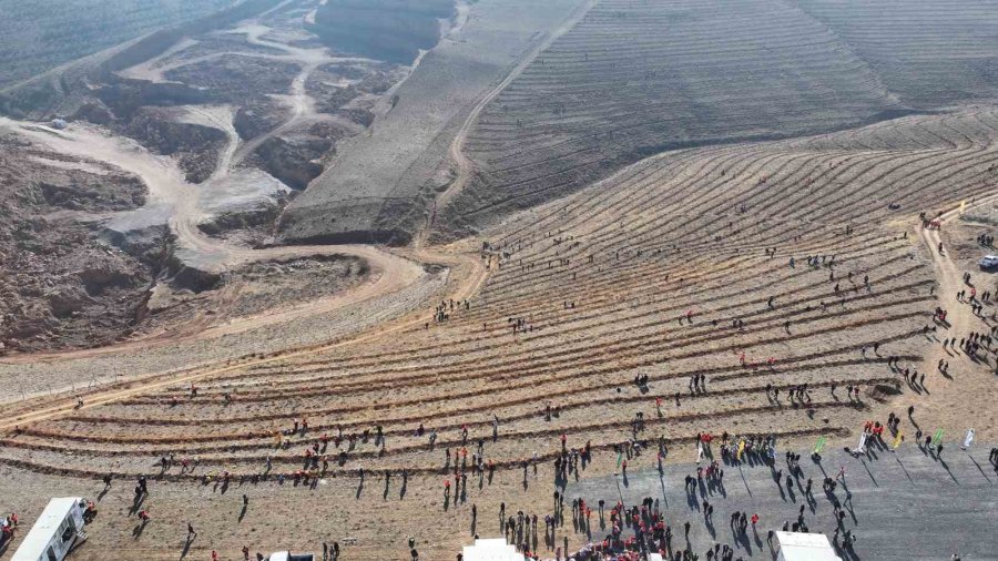 Başkan Altay "geleceğe Nefes Konya’ya Hayat" Programında Öğrencilerle Fidan Dikti