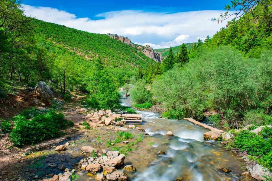 Sultan Alaeddin Keykubad’ın İki Başkentini Birleştiren Kadim Kervan Yolu İçin İmzalar Atıldı