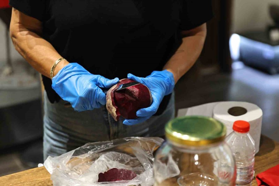 İnovasyon Merkezi’nde Eğitici Atölyeler Sürüyor