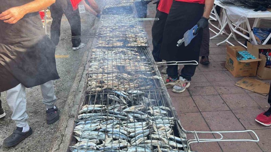 Alanya’da Geleneksel Hamsi Festivali Başladı 7 Ton Hamsi Ücretsiz Dağıtılacak