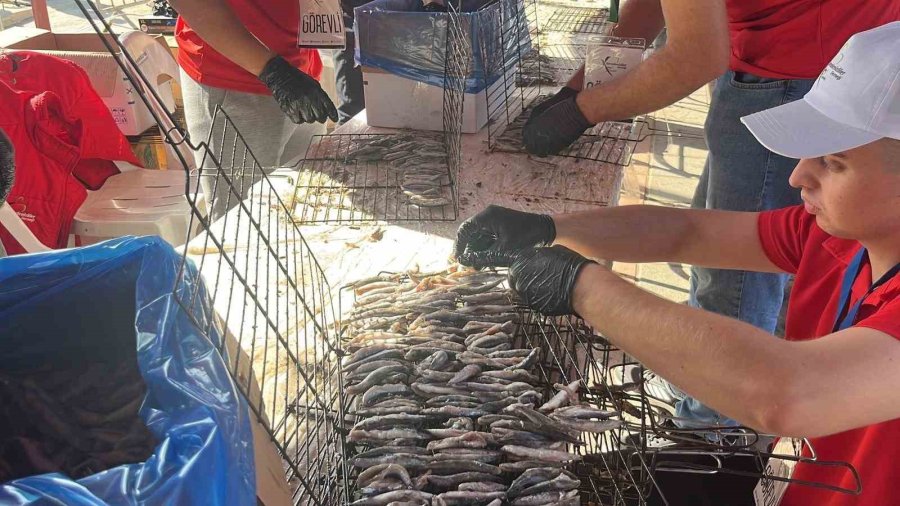 Alanya’da Geleneksel Hamsi Festivali Başladı 7 Ton Hamsi Ücretsiz Dağıtılacak