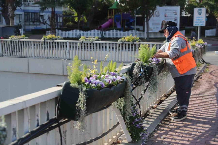 Antalya’da 4 Milyon Çiçek Toprakla Buluşuyor
