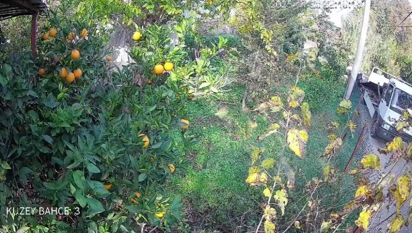 Çekiciye Yüklenirken Geri Viteste Unutulan Araç Rampadan Uçtu: 2 Yaralı