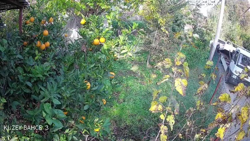 Çekiciye Yüklenirken Geri Viteste Unutulan Araç Rampadan Uçtu: 2 Yaralı