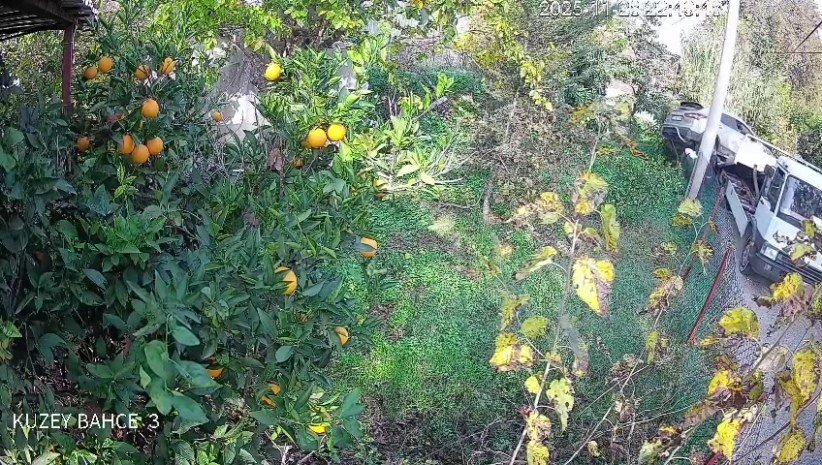 Çekiciye Yüklenirken Geri Viteste Unutulan Araç Rampadan Uçtu: 2 Yaralı