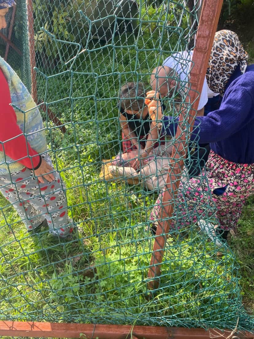 Çekiciye Yüklenirken Geri Viteste Unutulan Araç Rampadan Uçtu: 2 Yaralı