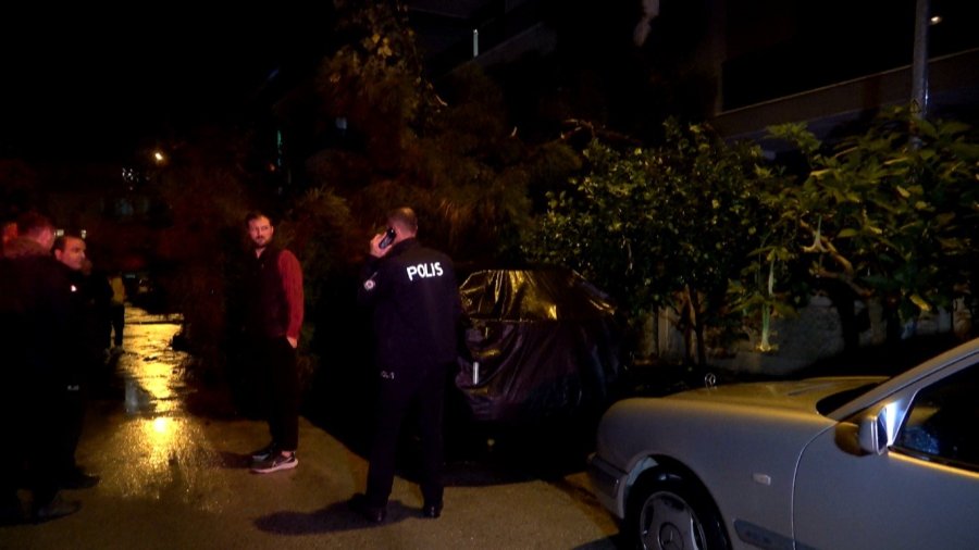 Antalya’da Yağmur Ve Şiddetli Rüzgar 10 Metrelik Ağaç Devrildi: İki Araç Ve Bina Zarar Gördü