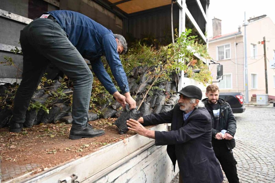 Konya Büyükşehir’den Üreticiye Sumak Fidanı Desteği