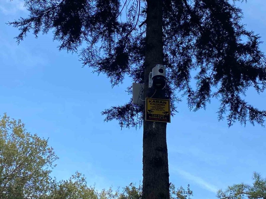 Motosikletle Okula Götürdüğü Kızını Kazada Kaybetti, Mezarına Diktiği Çiçeklere Hırsızlar Musallat Oldu
