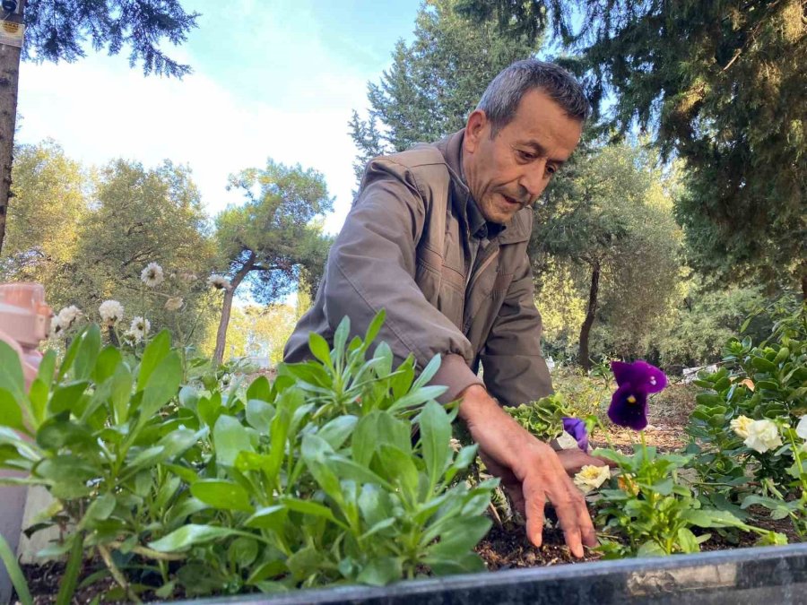 Motosikletle Okula Götürdüğü Kızını Kazada Kaybetti, Mezarına Diktiği Çiçeklere Hırsızlar Musallat Oldu
