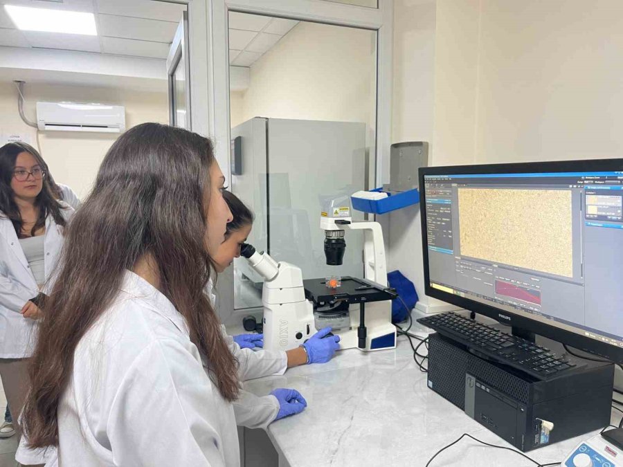 Parkinson’da Bağırsak- Beyin İletişimi Çip Üstü Organ Teknolojisiyle Araştırılıyor