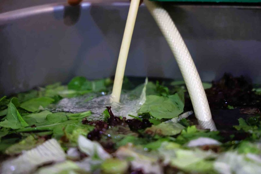 Büyükşehir Ekdağ Tesislerinde Sebze Ve Meyveler Ozonlu Su Ve Gazla Yıkanıyor