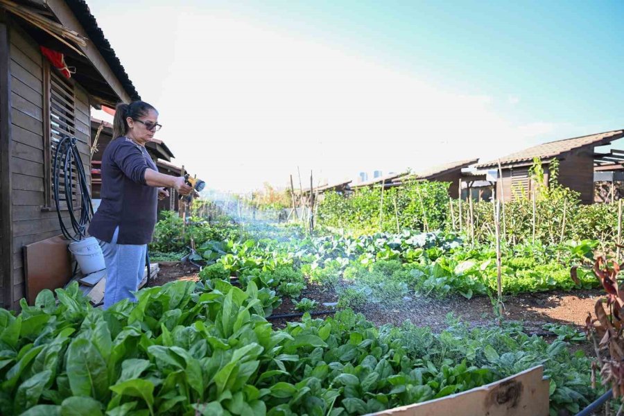 Mersin’de Hobi Parkı Yeni Sezona Hazır