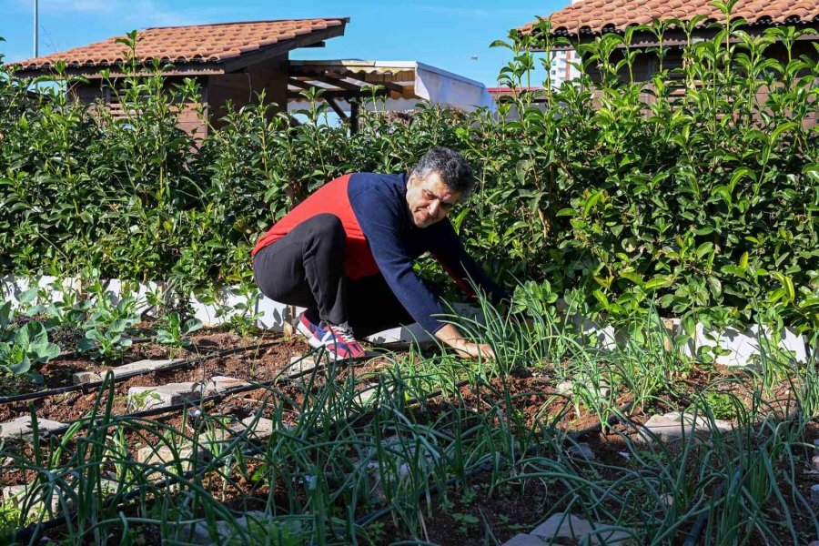 Mersin’de Hobi Parkı Yeni Sezona Hazır