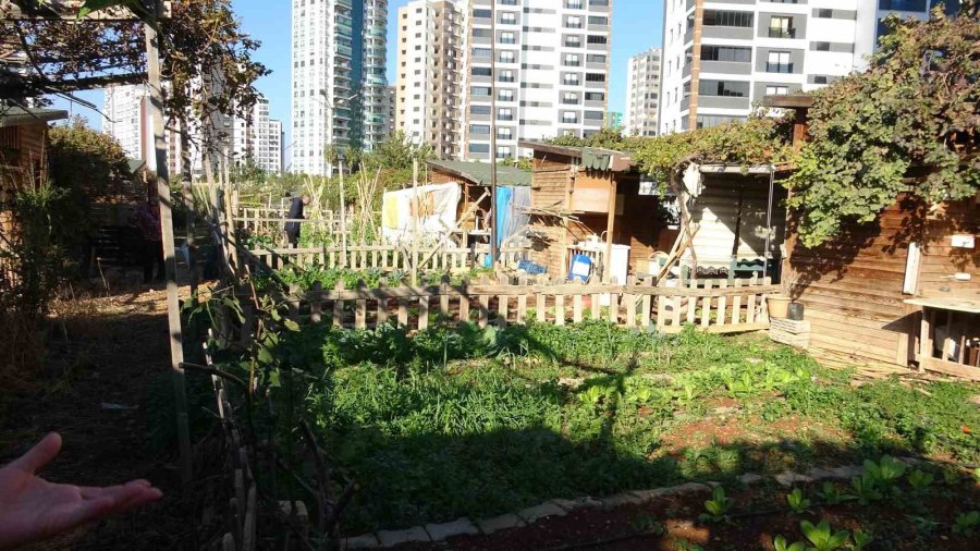 Mersin’de Belediye, Kronik Hastaların Hobi Bahçesini Yıkacak İddiası
