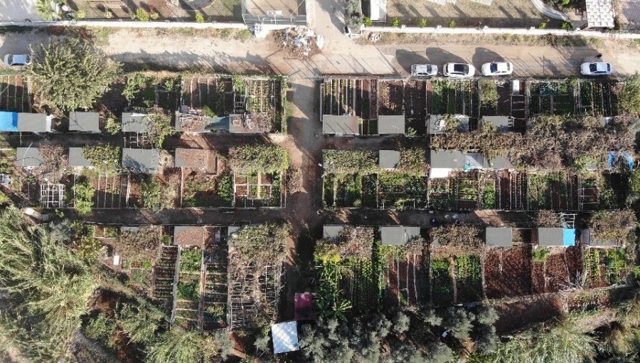 Mersin’de Belediye, Kronik Hastaların Hobi Bahçesini Yıkacak İddiası