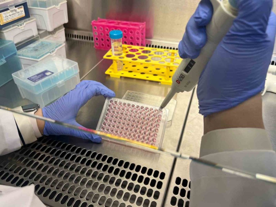 Parkinson’da Bağırsak- Beyin İletişimi Çip Üstü Organ Teknolojisiyle Araştırılıyor