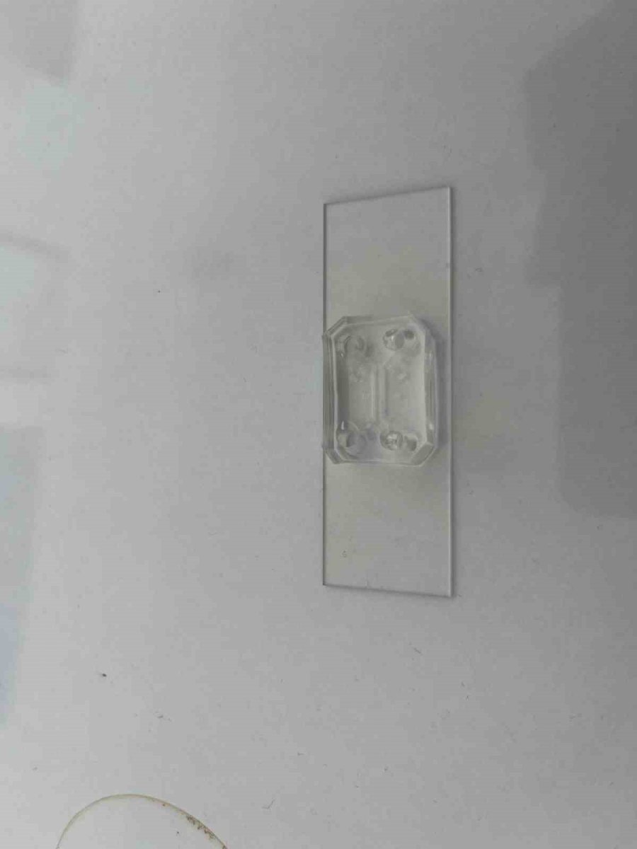 Parkinson’da Bağırsak- Beyin İletişimi Çip Üstü Organ Teknolojisiyle Araştırılıyor