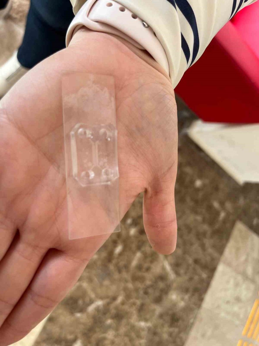 Parkinson’da Bağırsak- Beyin İletişimi Çip Üstü Organ Teknolojisiyle Araştırılıyor