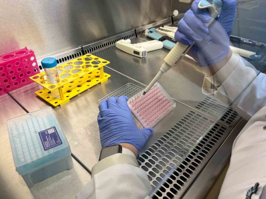 Parkinson’da Bağırsak- Beyin İletişimi Çip Üstü Organ Teknolojisiyle Araştırılıyor