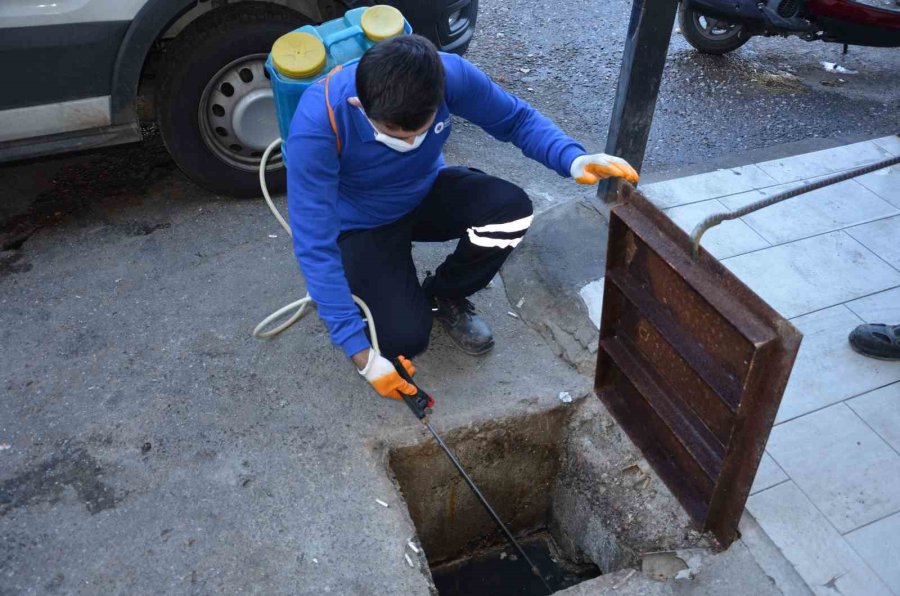 Vektörel Mücadele Çalışmaları Devam Ediyor