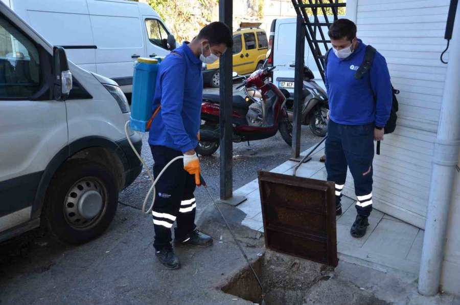Vektörel Mücadele Çalışmaları Devam Ediyor