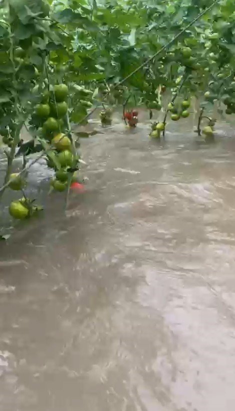 Suda Mahsur Kalan Araçtaki 2 Kişiyi İtfaiye Ekipleri Kurtardı