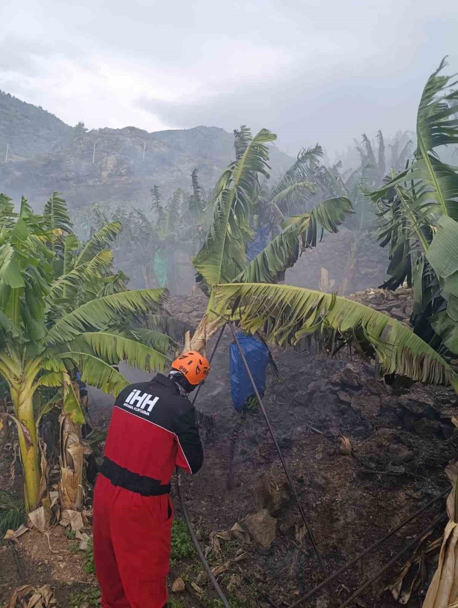 Antalya’da Muz Bahçesinde Yangın
