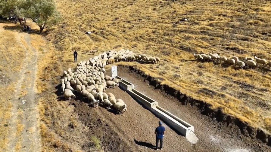 Niğde’de Meralara Yeni Hayvan İçme Suyu Alanı Kazandırıldı
