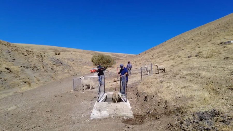 Niğde’de Meralara Yeni Hayvan İçme Suyu Alanı Kazandırıldı