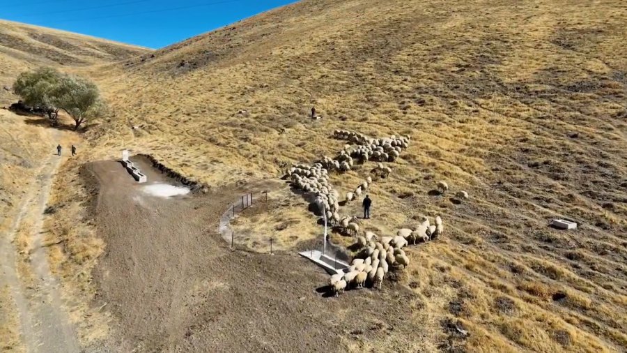 Niğde’de Meralara Yeni Hayvan İçme Suyu Alanı Kazandırıldı