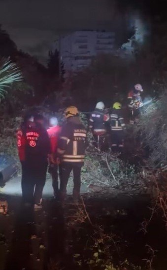 Sürücüsünün İçinde Olduğu Otomobilin Üzerine Ağaç Devrildi