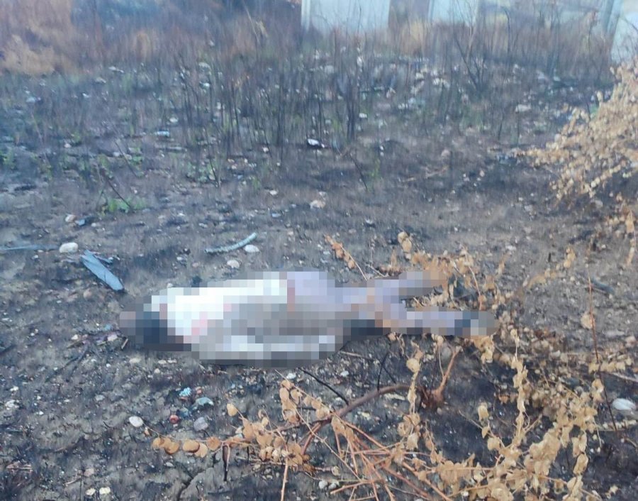 Mersin’de Kaza Yapan Araç Otoyolda, Sürücüsü 30 Metrelik Köprünün Altında Ölü Bulundu