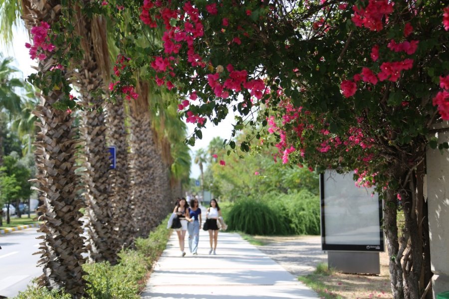 Akdeniz Üniversitesi, Uı Greenmetric’te 119 Basamak Birden Yükseldi