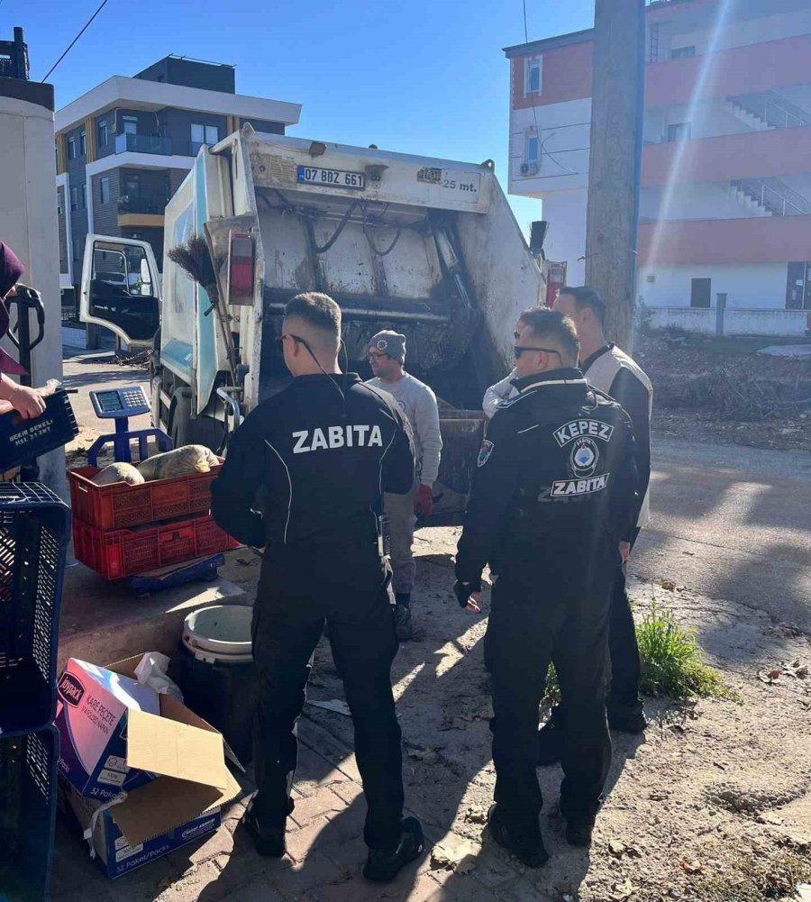 Antalya’da Yarım Tondan Fazla Hayvansal Ve Bitkisel Bozuk Gıda Maddesi Ele Geçirildi