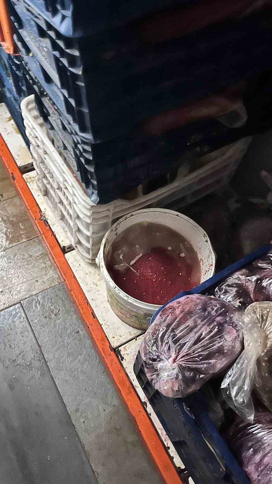 Antalya’da Yarım Tondan Fazla Hayvansal Ve Bitkisel Bozuk Gıda Maddesi Ele Geçirildi