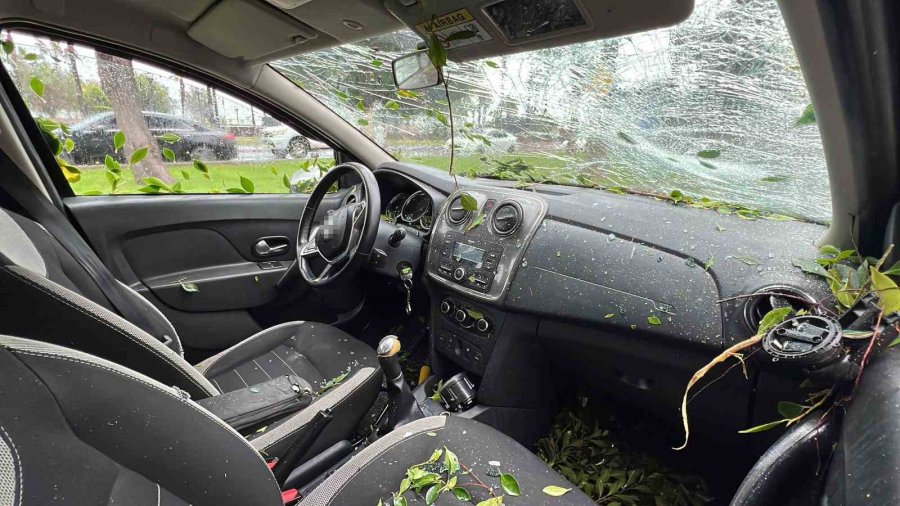 Mersin’de Devrilen Ağaç, Seyir Halindeki 3 Araca Zarar Verdi