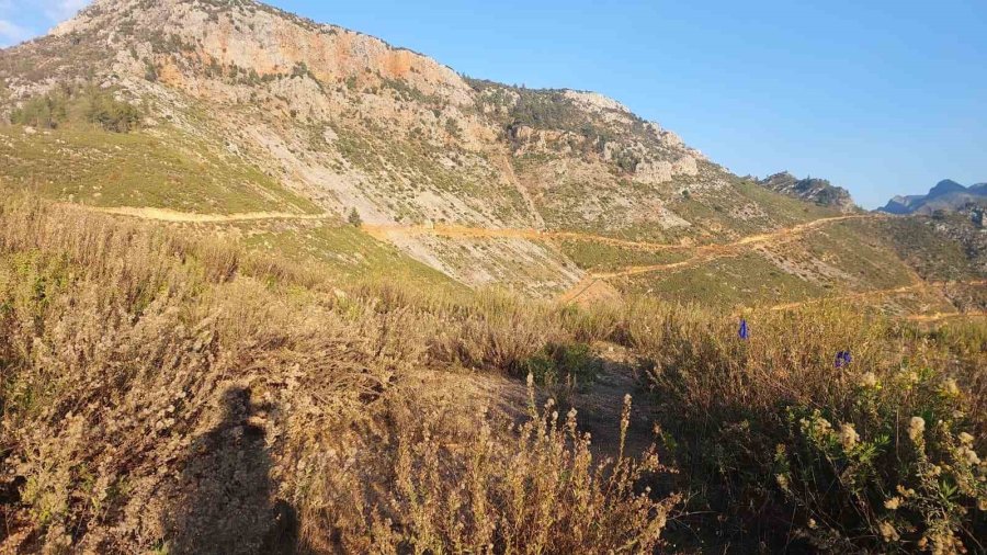 Dağda Mantar Toplarken Fenalaşan Adam Hayatını Kaybetti