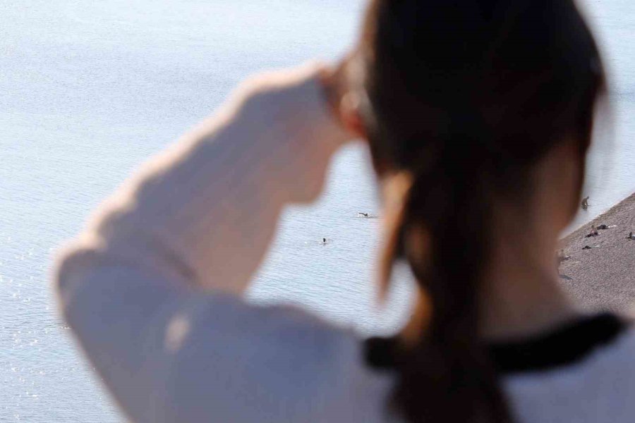 Antalya’nın Gecesi Kış, Gündüzü Yaz: "akşam Soba Yaktık, Gündüz Güneşleniyoruz"