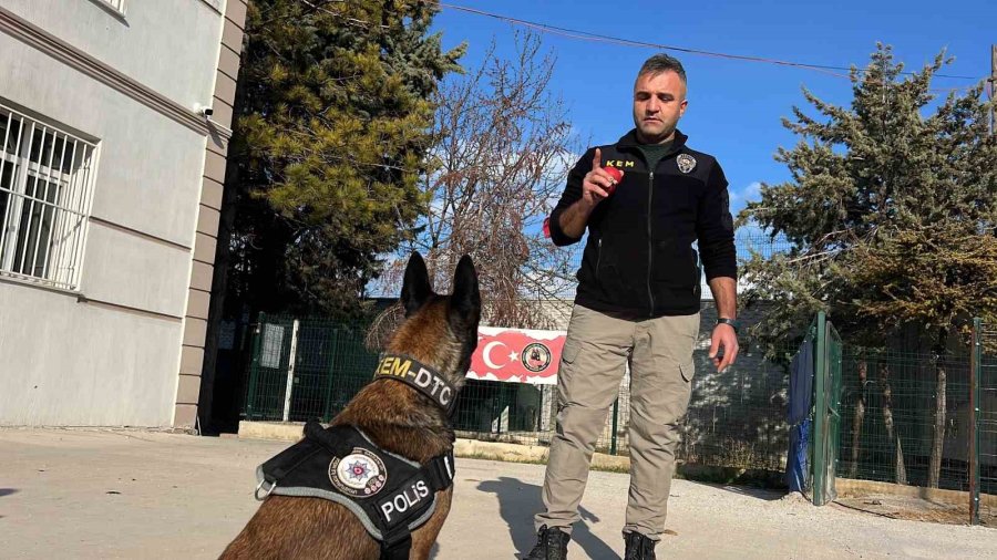 Uyuşturucu Tacirlerinin ‘bulamazlar’ Dedikleri Zulaları Burunları İle Patlatıyorlar