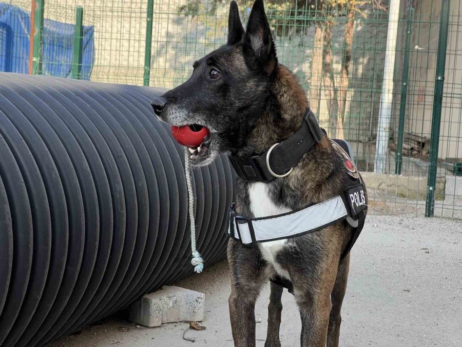 Uyuşturucu Tacirlerinin ‘bulamazlar’ Dedikleri Zulaları Burunları İle Patlatıyorlar