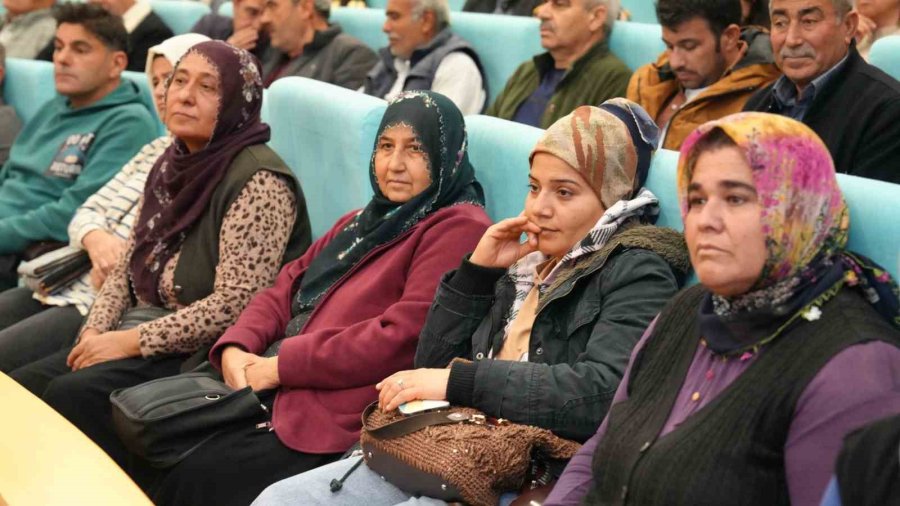 Tarsus’ta Sarıulak Zeytini İçin Üreticilere Eğitim Verildi