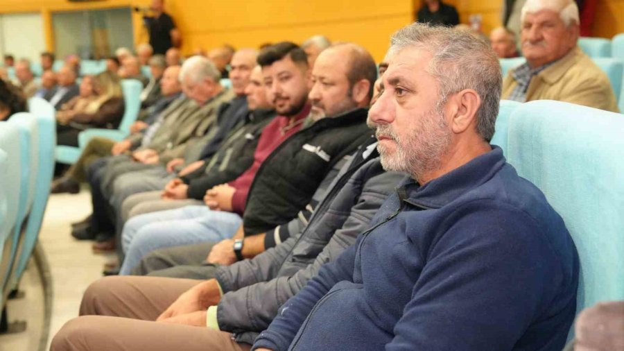 Tarsus’ta Sarıulak Zeytini İçin Üreticilere Eğitim Verildi