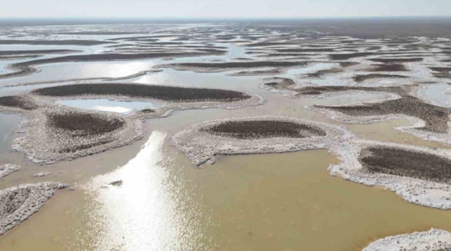 Kuraklık Çanları Çalıyor, Flamingolar Artık Gelmiyor